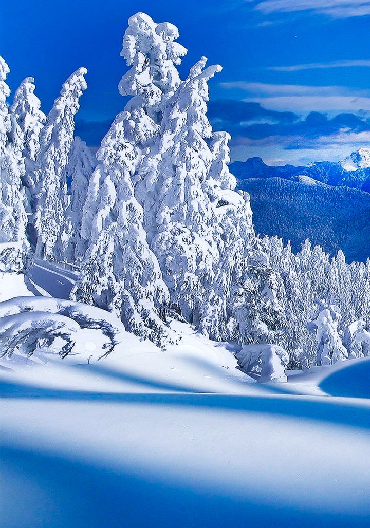 beauty Winter