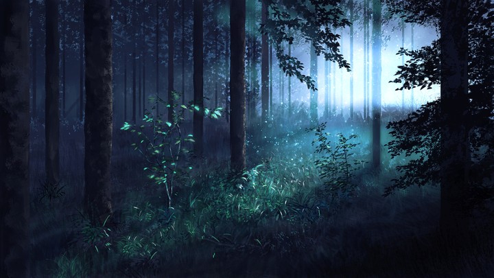 Forest