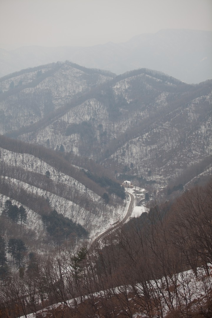 Winter
