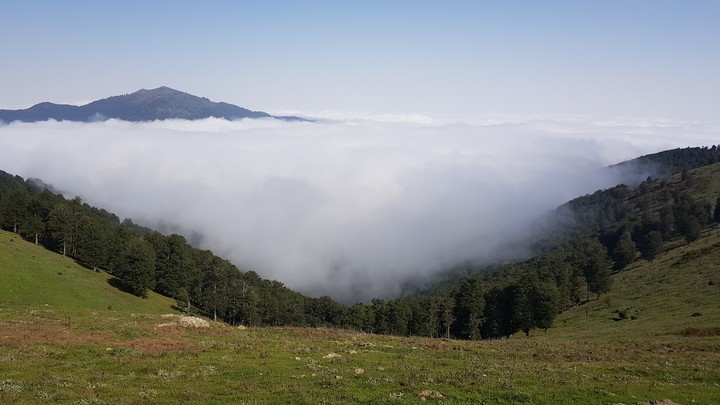 over the clouds