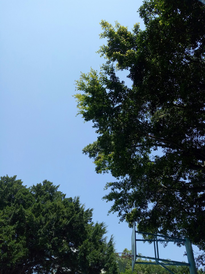 Sky is blue.