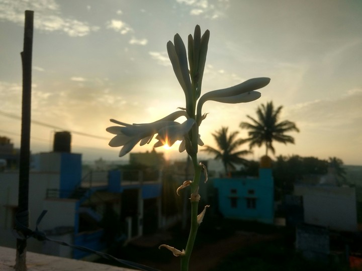 #sunrise