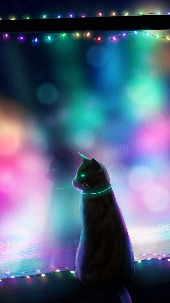 котик