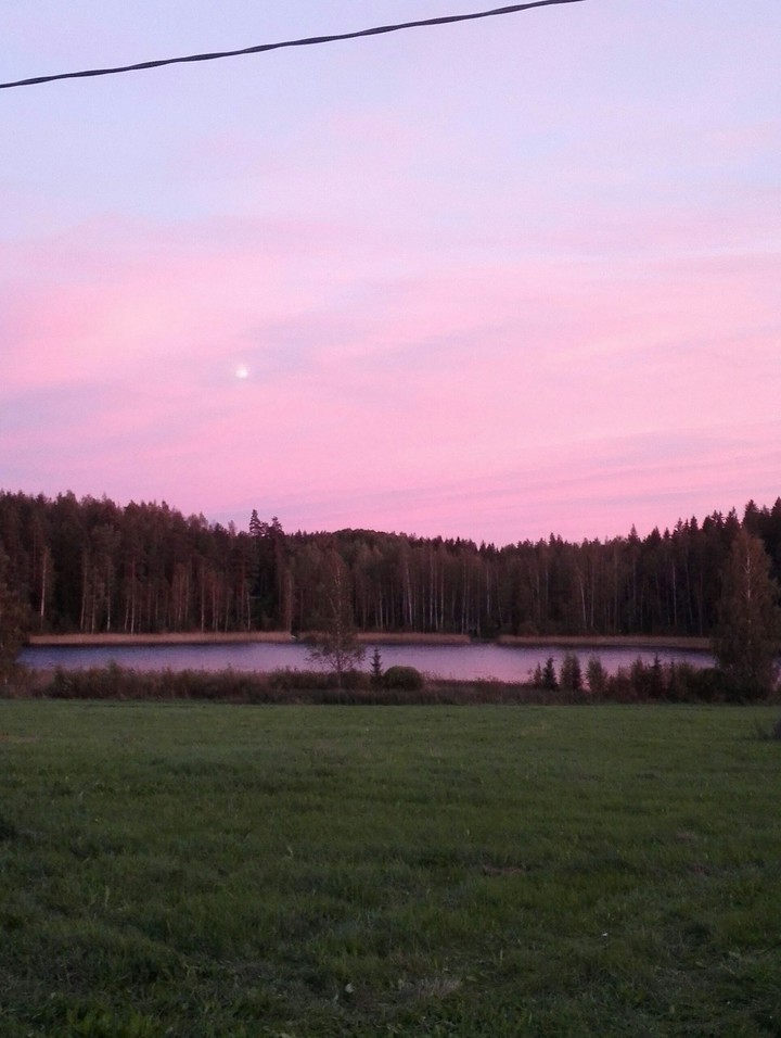 Pink evening