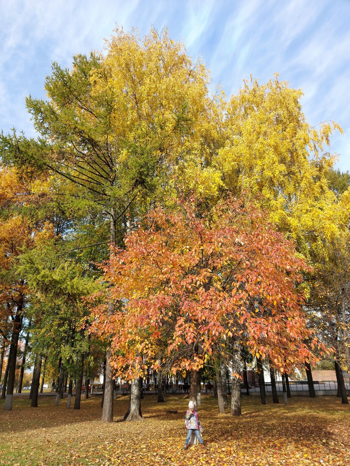 autumn