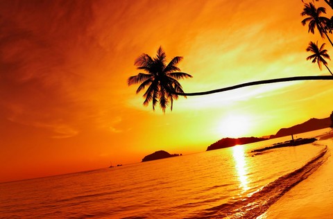 sunset