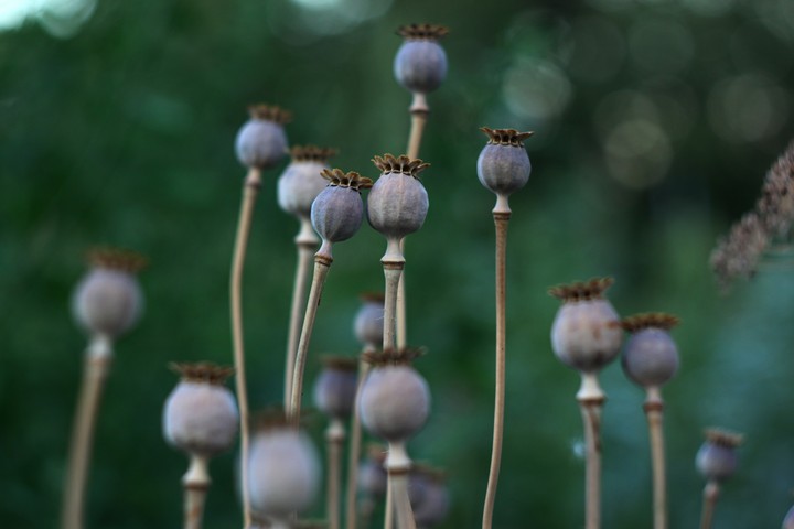 Two