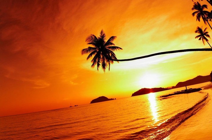 sunset