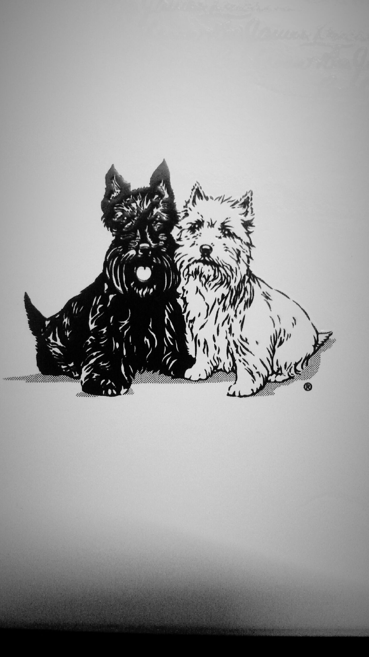 Black&White