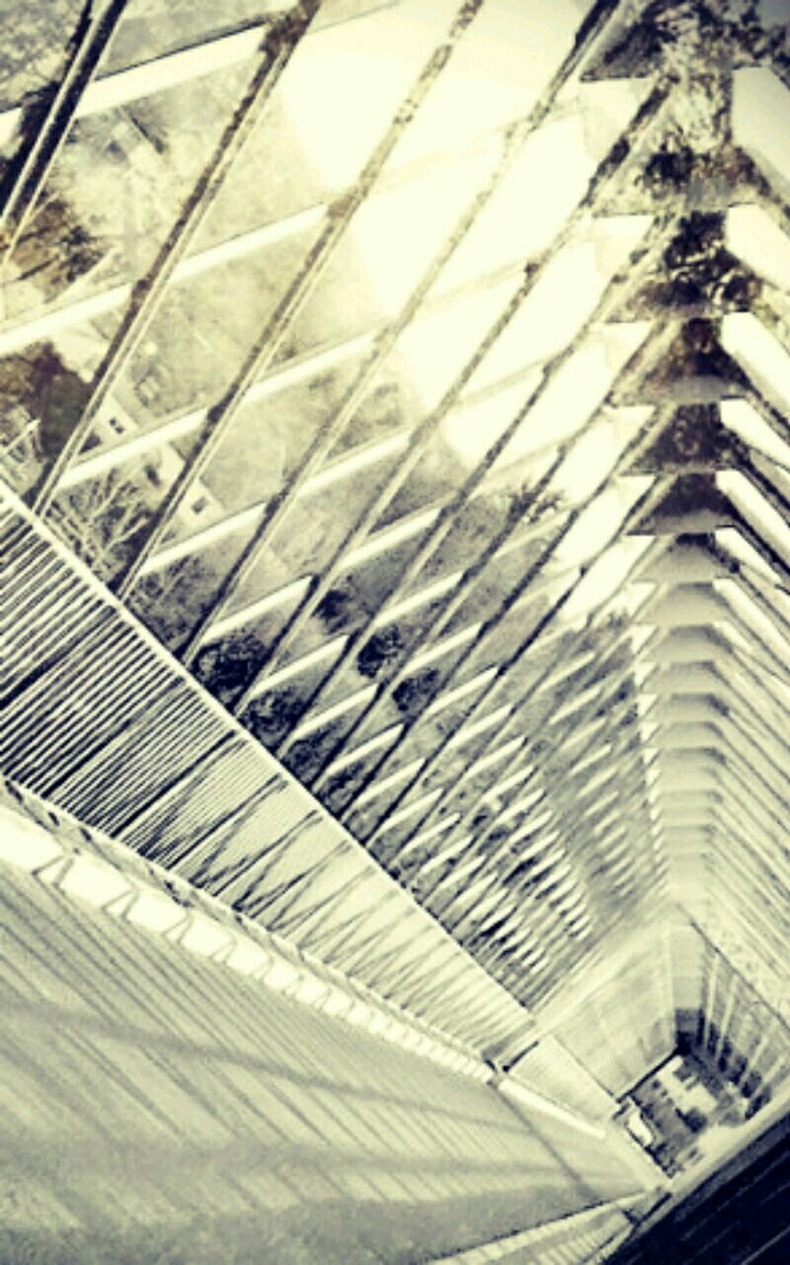 Incredible bridge