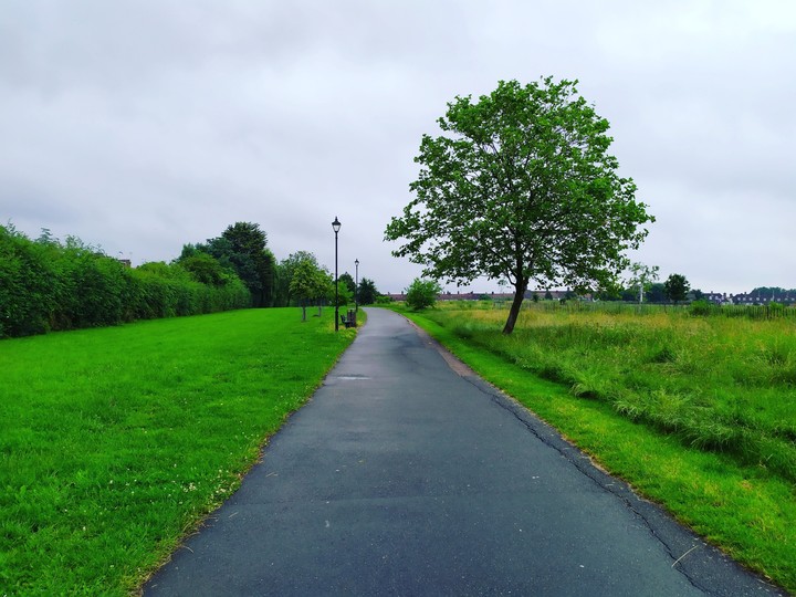 Green peace
