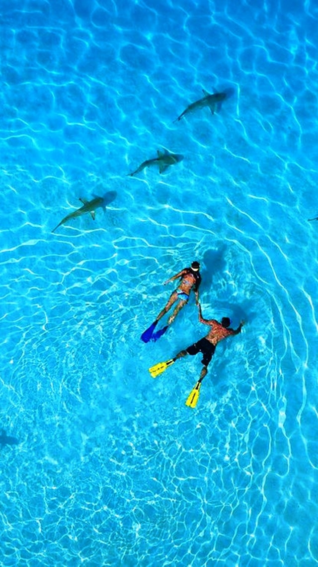swiming
