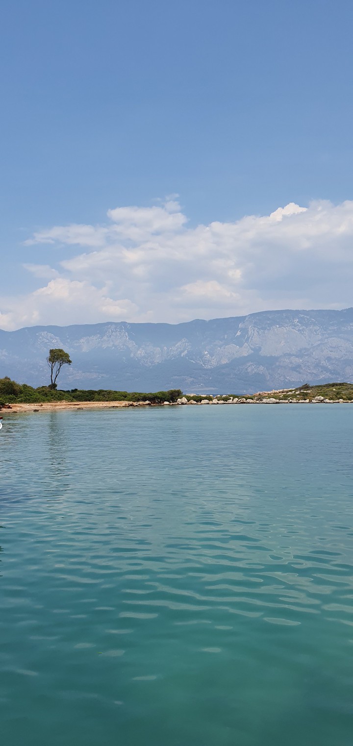 море