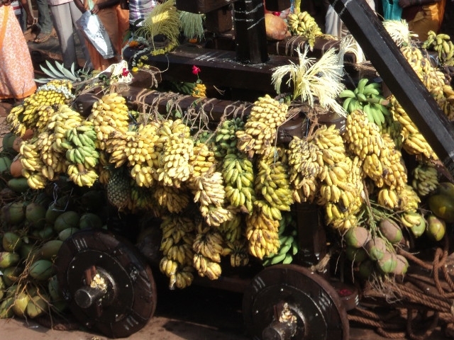 Harvest festival