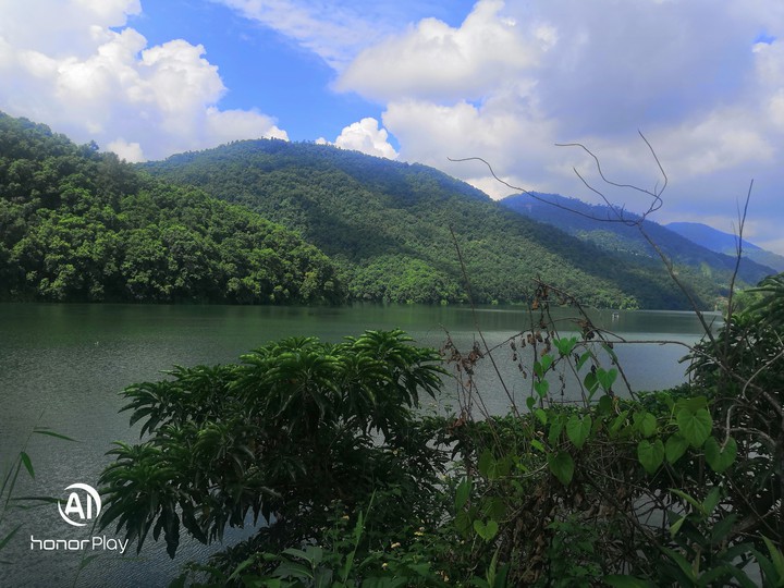 Nature's paradise