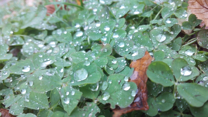 autumn