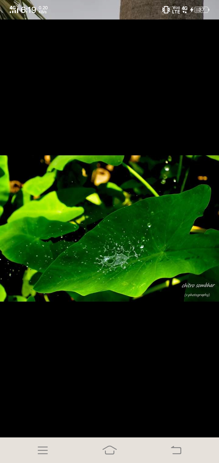 Water droplets?