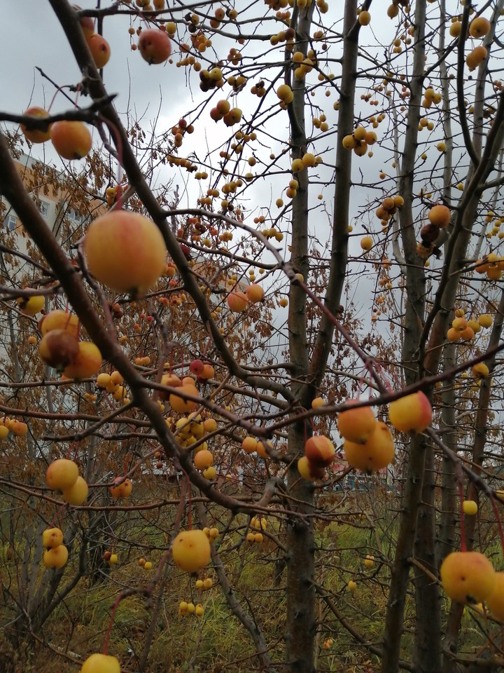 autumn