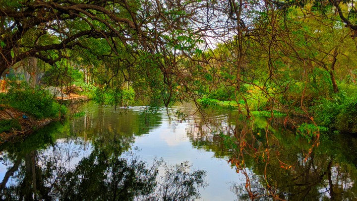 nature in tirunelveli