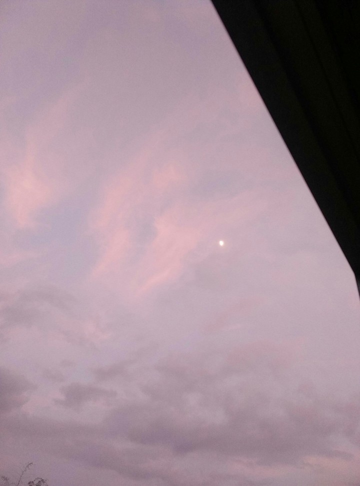 pink & moon