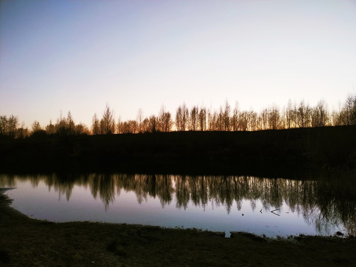 лес