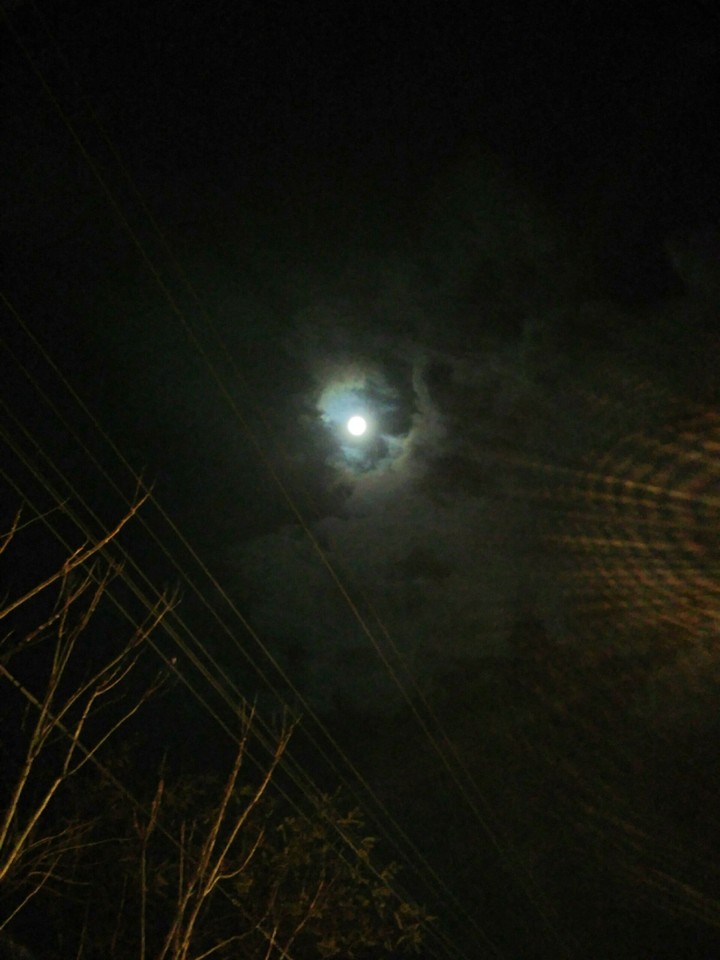 moon