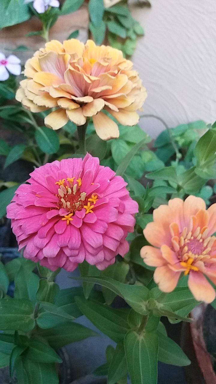 eye catching