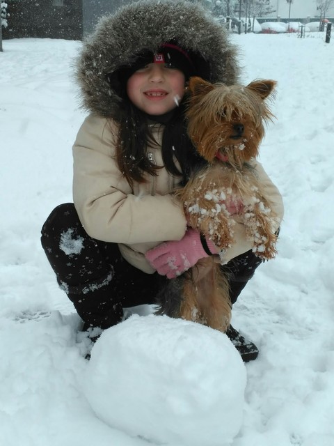 Nieve