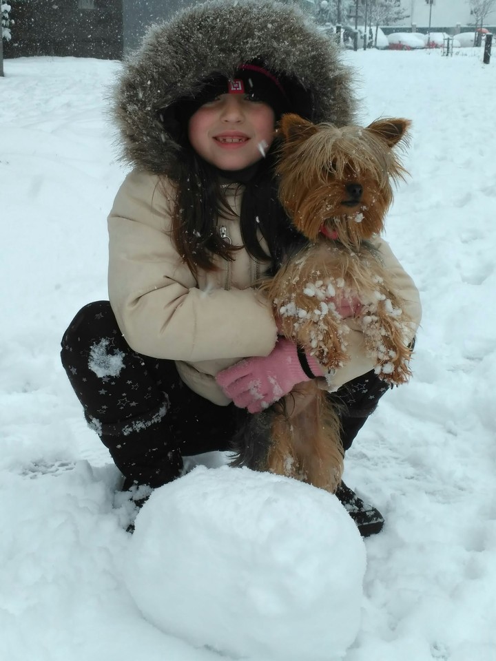 Nieve