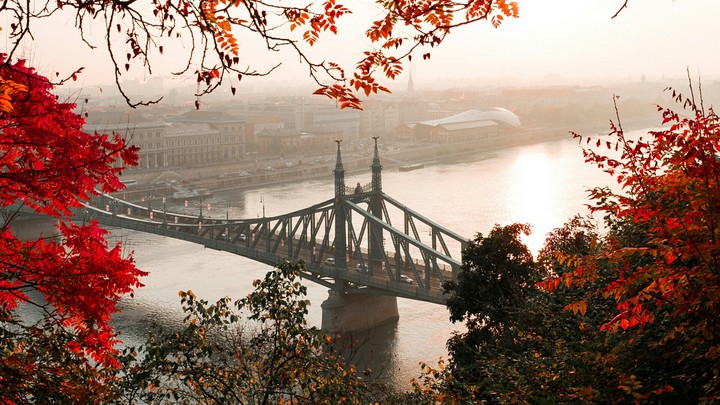 Bridge