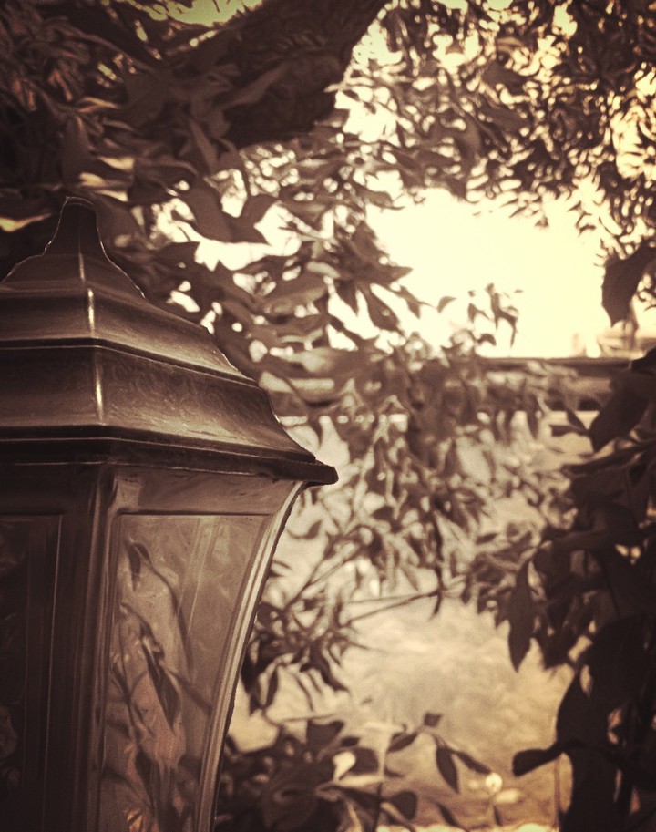 The Lamp Of Hope