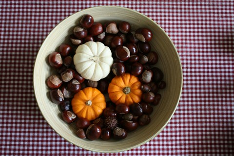 berry, fall háttérképek