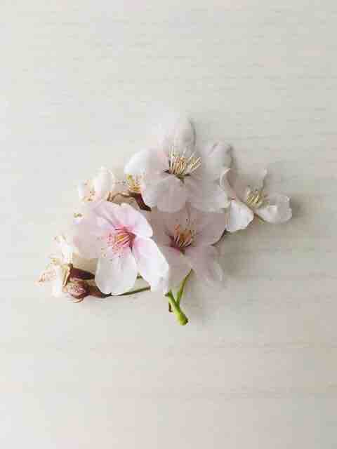 blossom