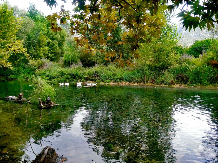nature cool perfect