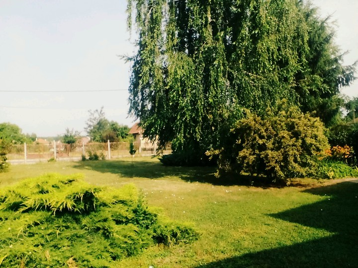 szépséget