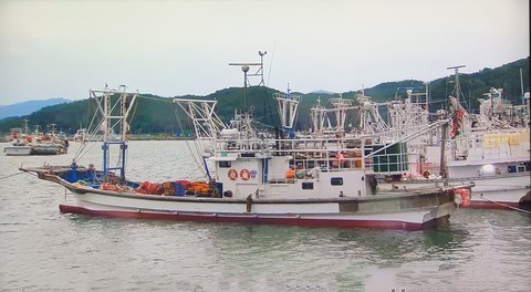 배