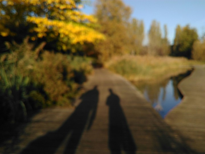 ombre d'automne
