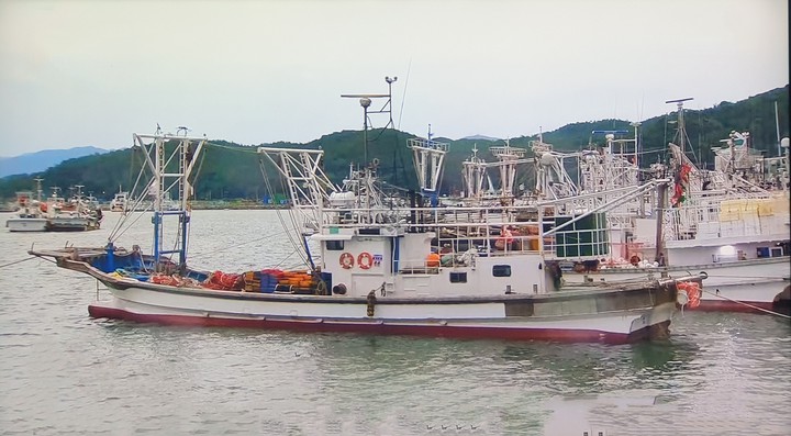 배