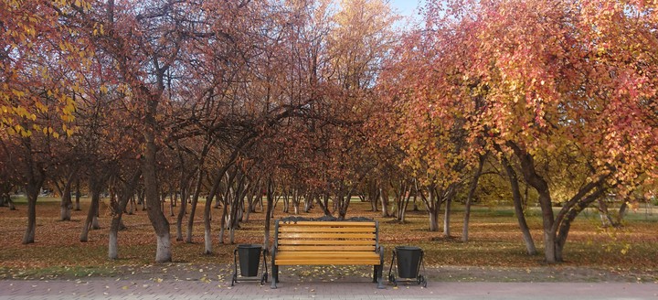 Autumn in Tyumen