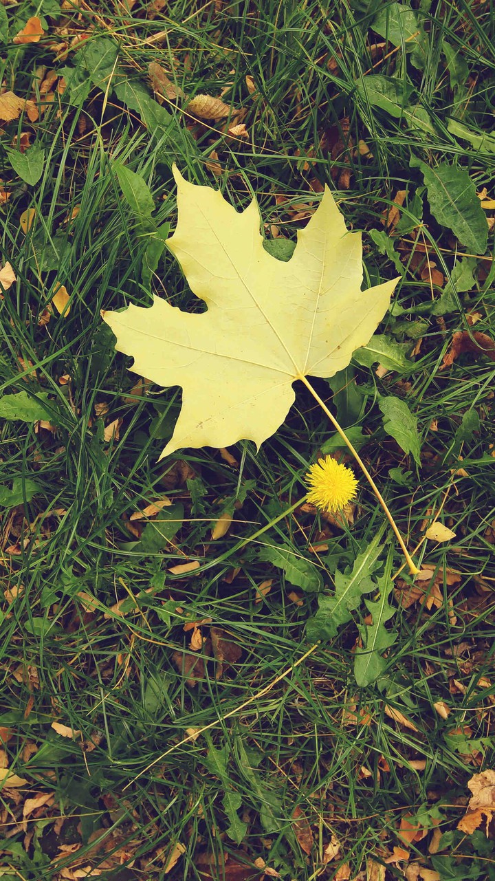 Nature ❤️