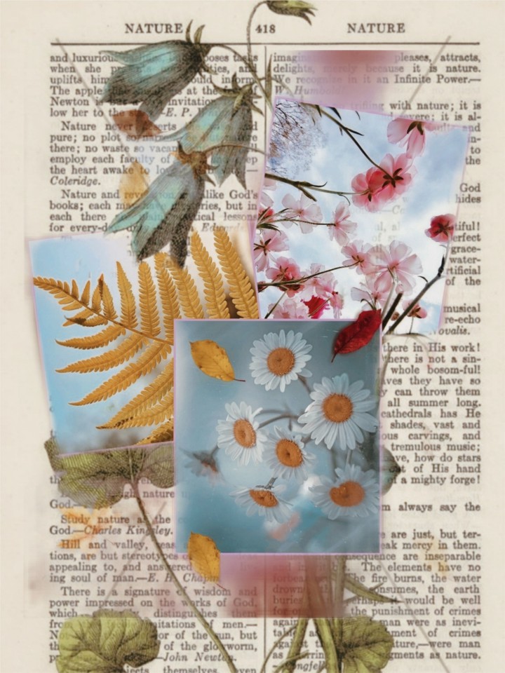collage_wallpaper