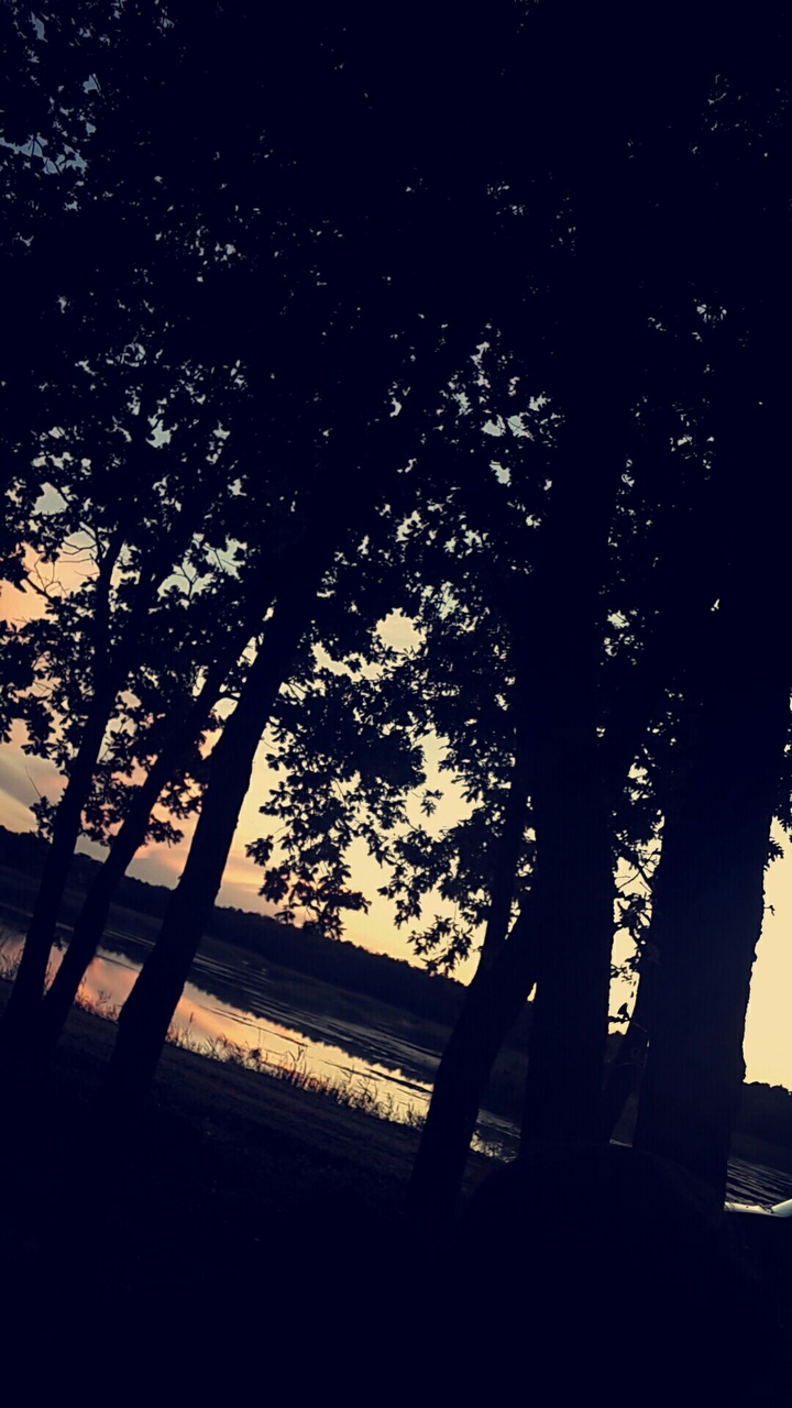 #nature #tree #sunset #turkey
