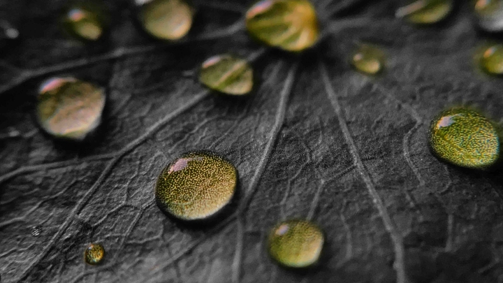 water droplets