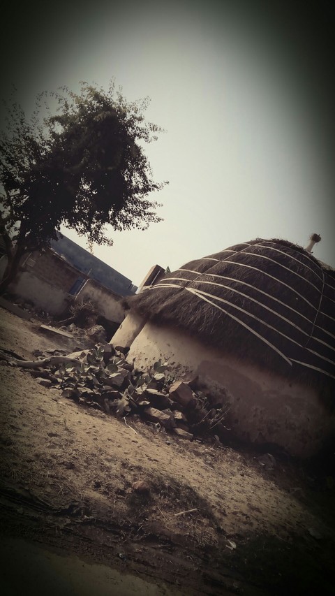 nuture