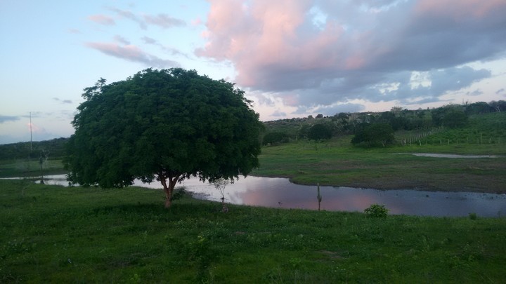 Riacho das Pedras