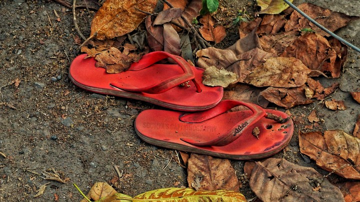 Red Slippers