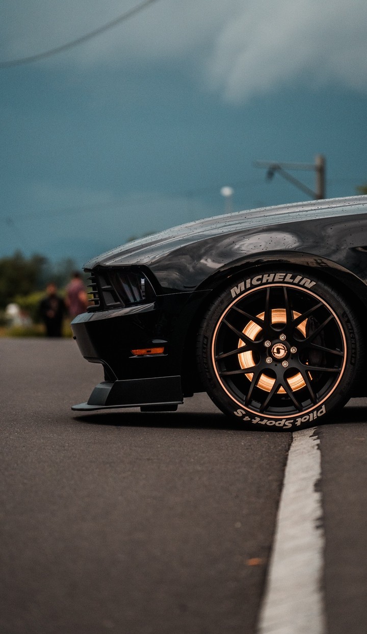 Beast Mustang and Michellin