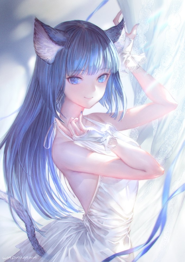 Anime Neko Girl