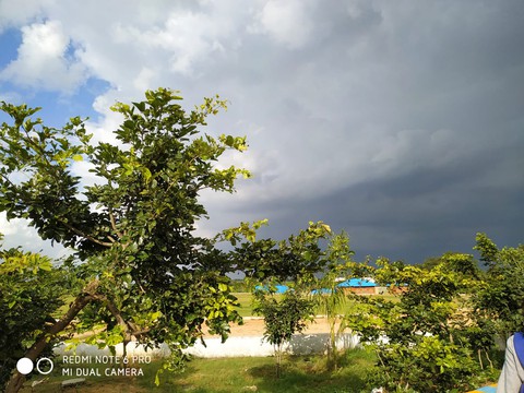 love climate
