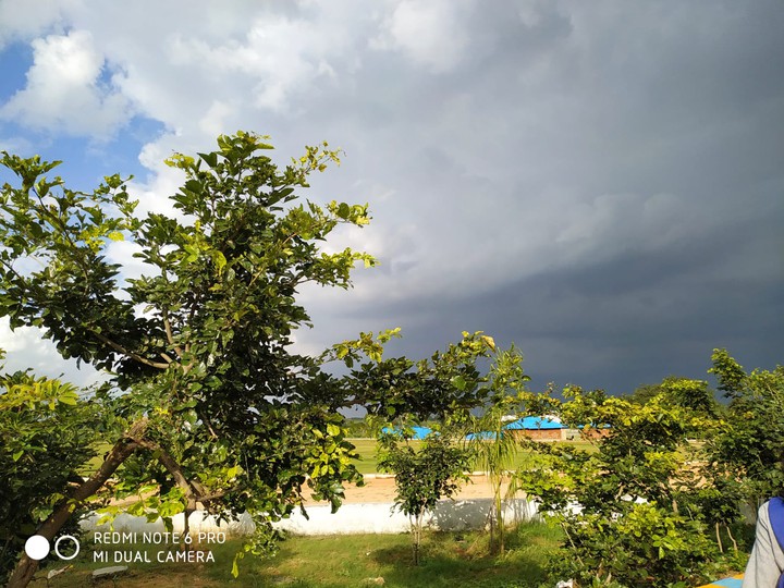 love climate